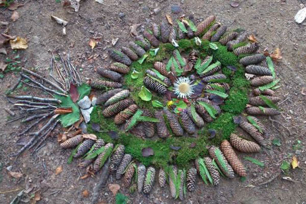 Ammonite vegetale 3