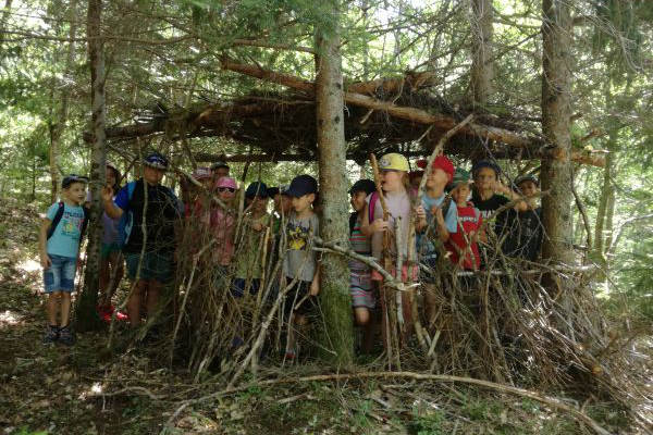 Séjour Reconnexion 5 Cabanes en foret