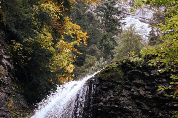 cascade chartreuse